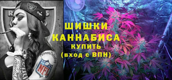 индика Кукмор