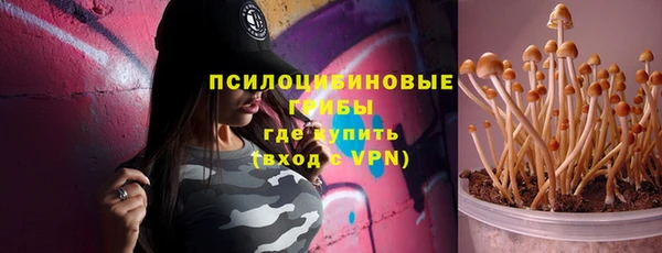 СК Куйбышев