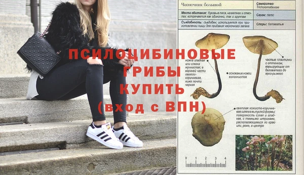бутик Кулебаки