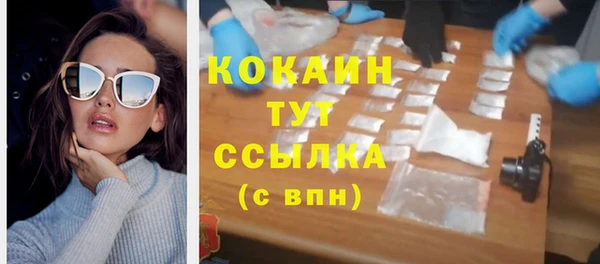 индика Кукмор