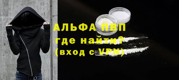 индика Кукмор