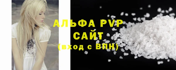 индика Кукмор