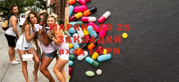 индика Кукмор