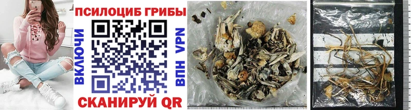 Галлюциногенные грибы Psilocybe  Купить  Заозёрск 